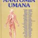 Trattato di Anatomia Umana