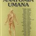 Trattato di Anatomia Umana